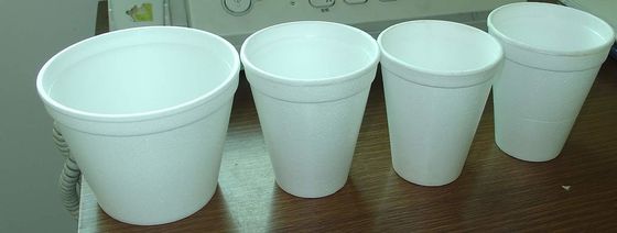 Machine de fabrication de tasses EPS à vapeur à alimentation sous pression